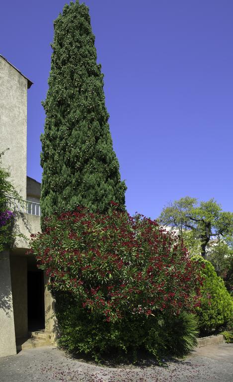LʼÎle-Rousse Motel Le Vieux Moulin מראה חיצוני תמונה